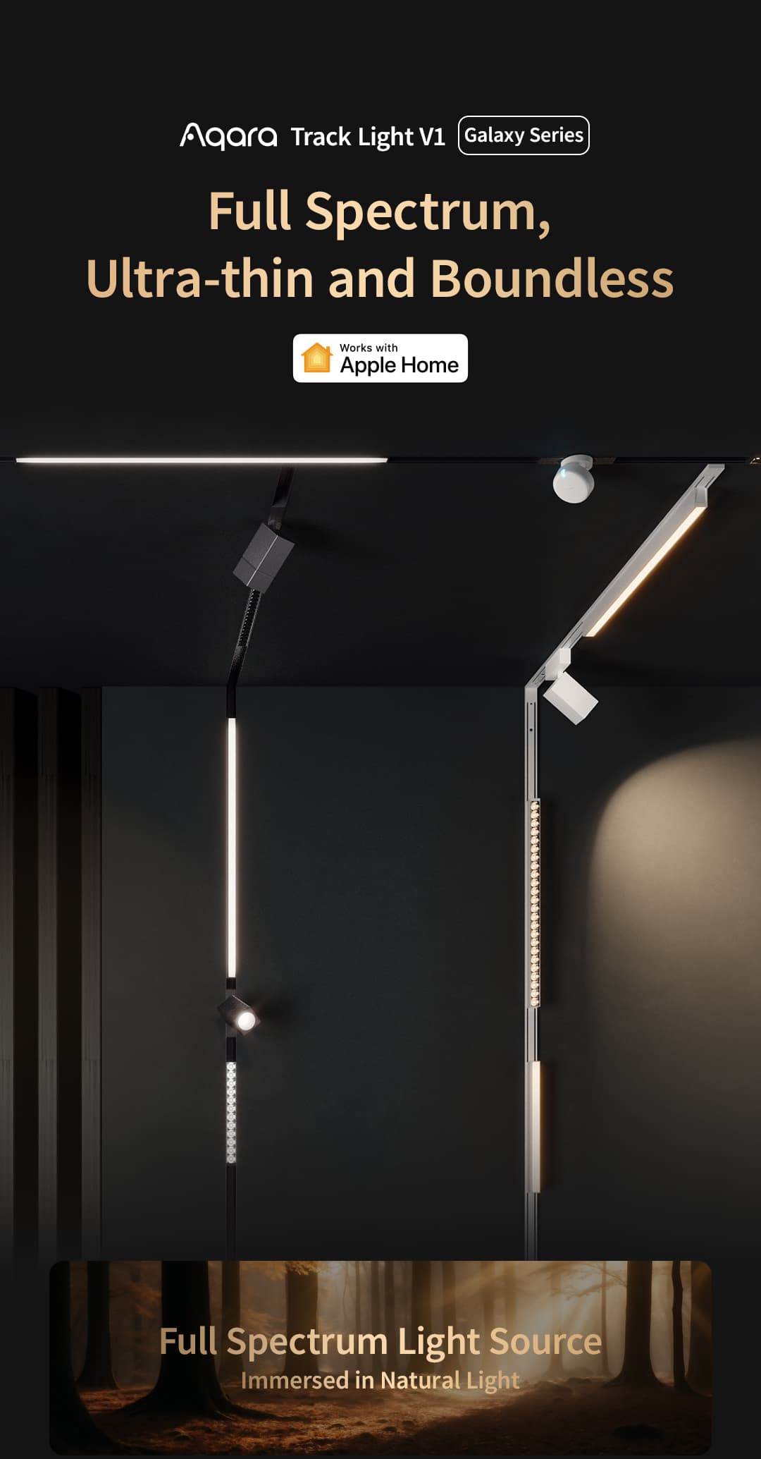 track floodlight v1 — Hình chính
