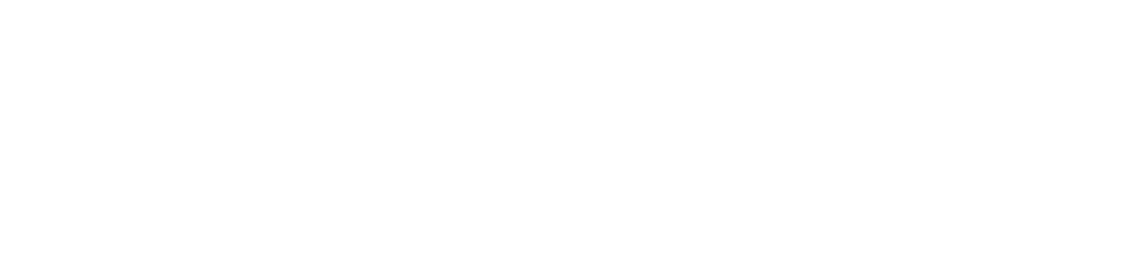 Sleek Website